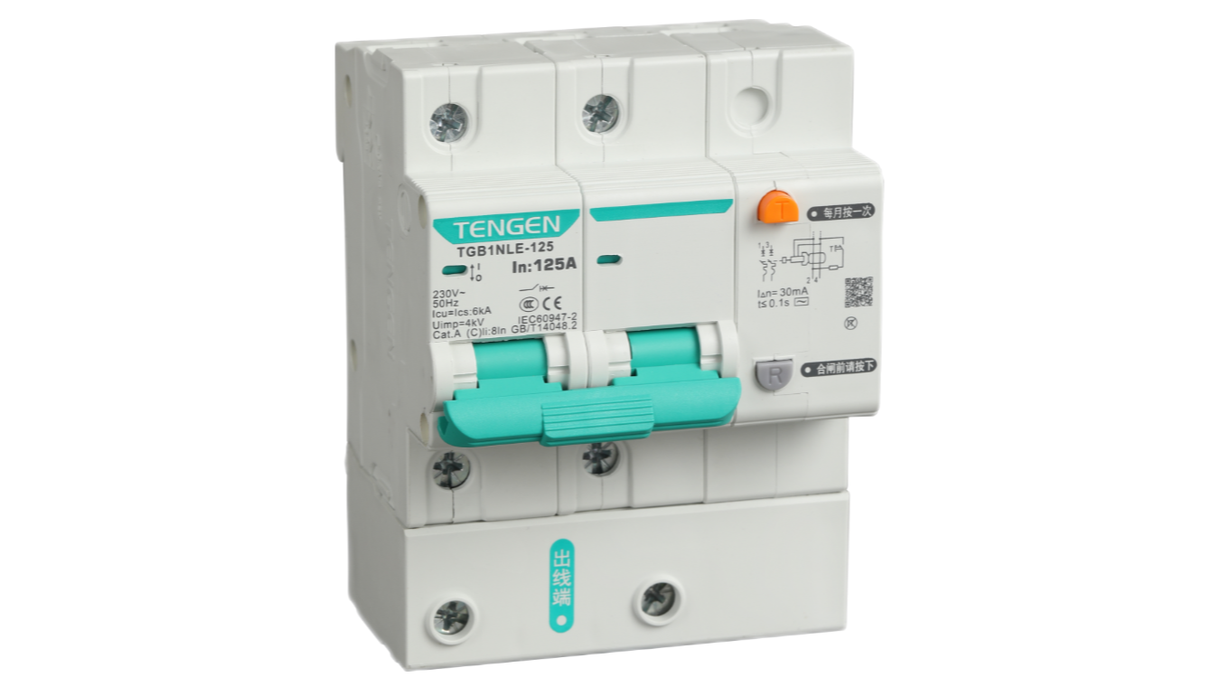 TGB1NLE-125(H)剩余电盛行动断路器